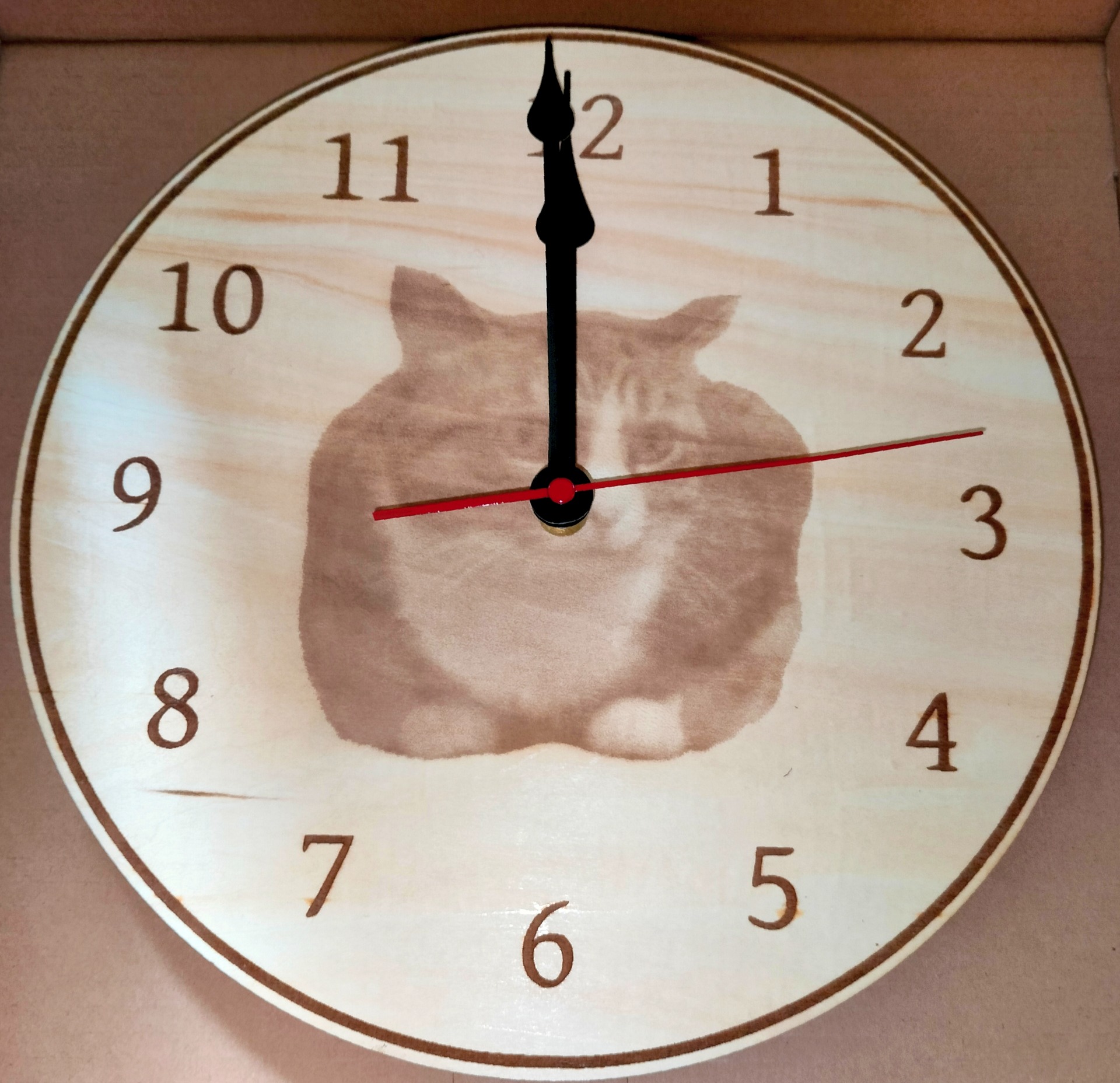 Tilaustyö. Uuninpankkokissa ikuistui kelloon.